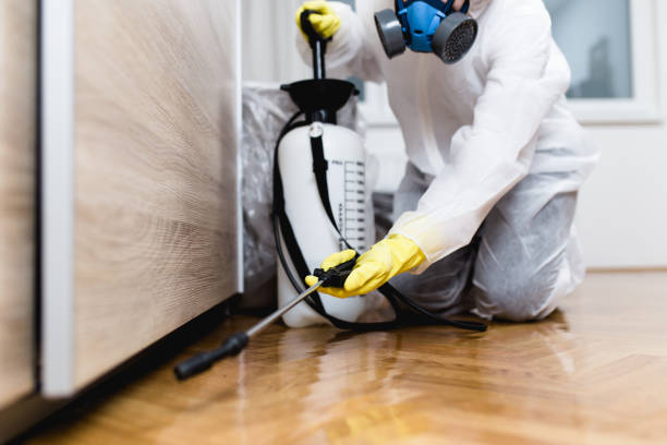 Best Affordable Pest Control Services  in Frederic, WI