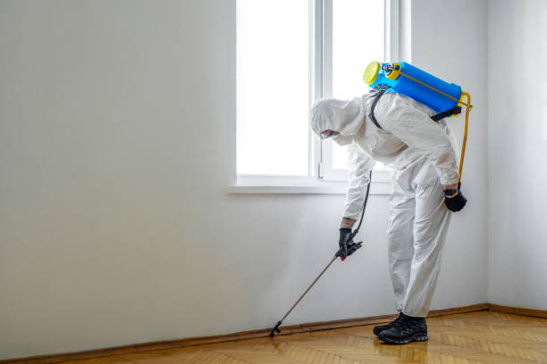 Best Local Pest Control Services  in Frederic, WI