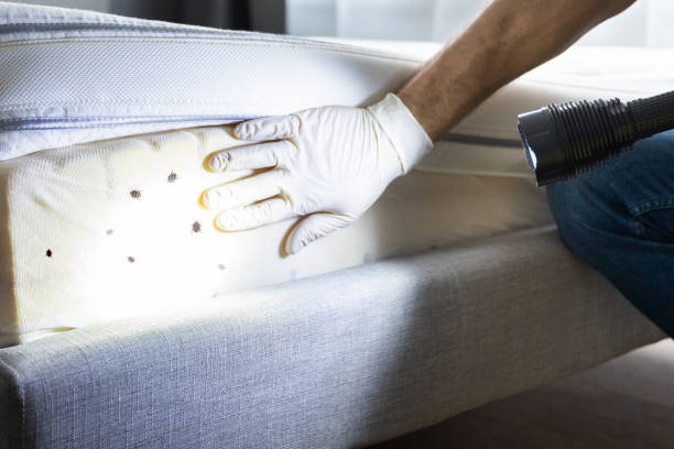 Best Commercial Pest Control Services  in Frederic, WI