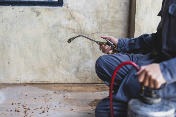 Best Termite Control Services  in Frederic, WI